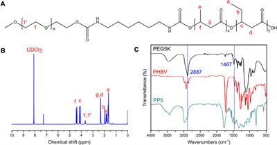 A novel poly(3-hydroxybutyrate-co-3-hydroxyvalerate) (PHBV)-PEG-melatonin composite scaffold enhances for inhibiting bone tumor recurrence and enhancing bone regeneration